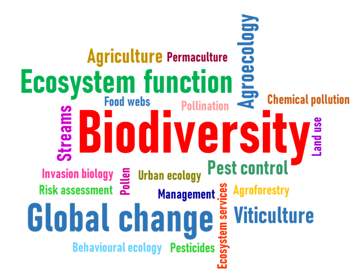 Die Grafik zeigt ein Wordle der Forschungsthemen der AG Ökosystemanalyse