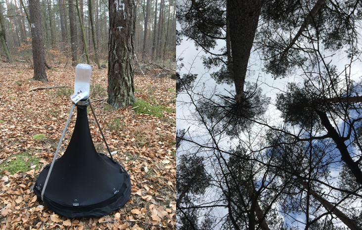 Abgebildet sind zwei Symbolfotos (eine Falle, ein Wald) für das Projekt "Long-term effects of liming on forest soil fauna" der AG Ökosystemanalyse